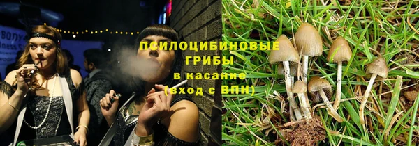 эйфоретик Гусиноозёрск