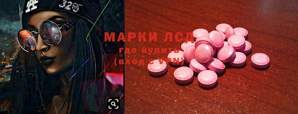 мяу мяу мука Гусев
