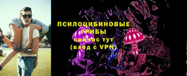 эйфоретик Гусиноозёрск
