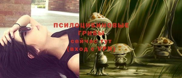 эйфоретик Гусиноозёрск