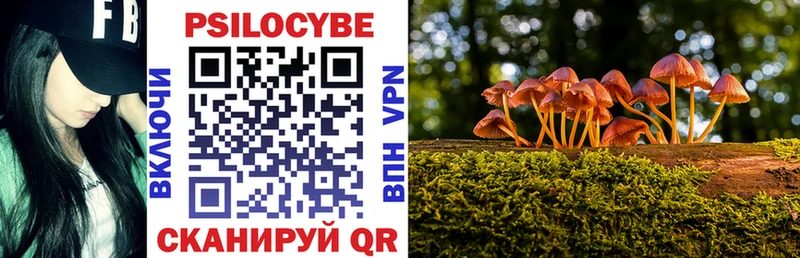 Псилоцибиновые грибы Psilocybe  Купить закладки  Любань 