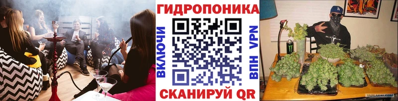 Шишки марихуана семена  Купить  Любань 